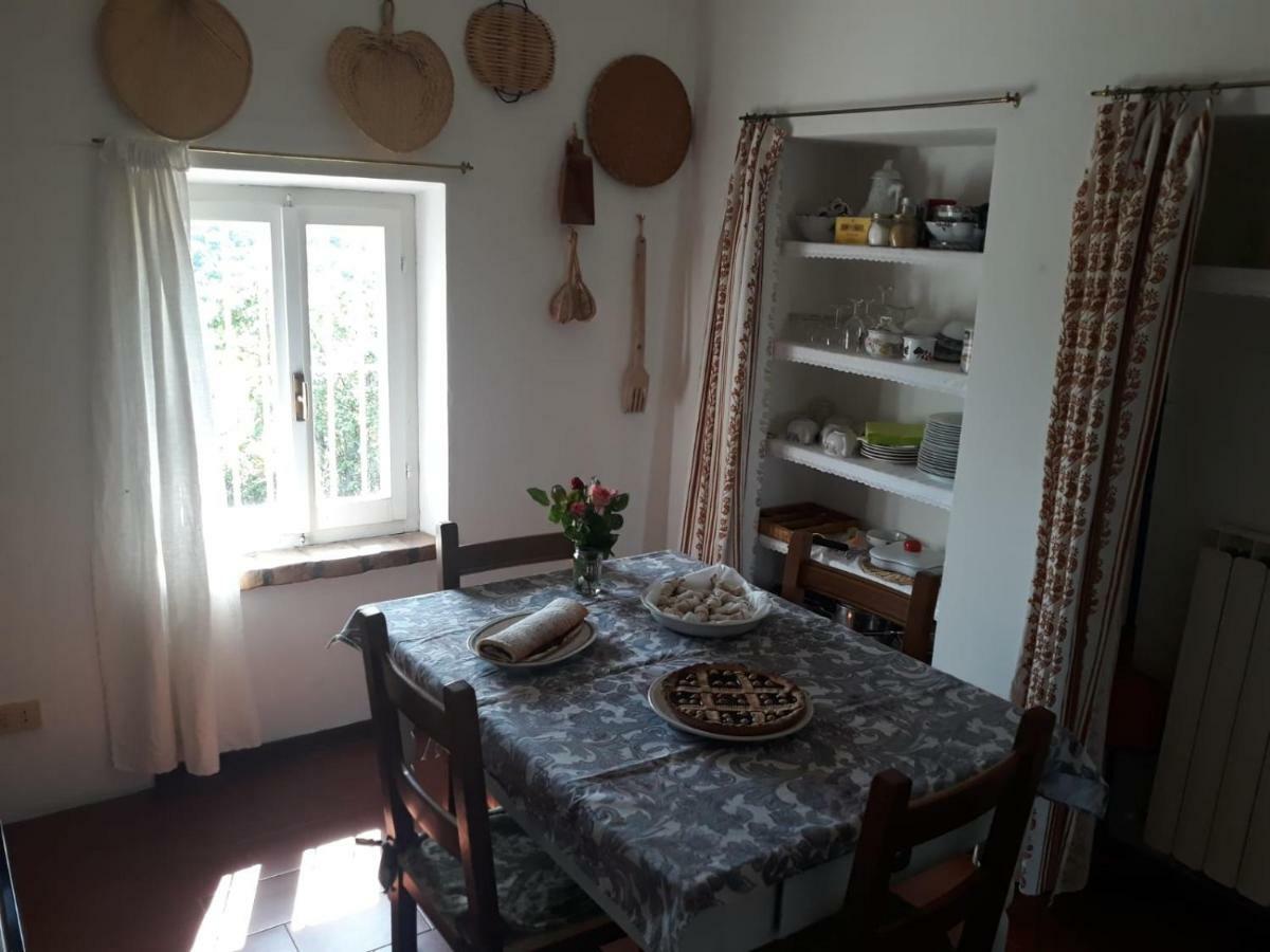 B&B I Canonici Urbino Exteriör bild