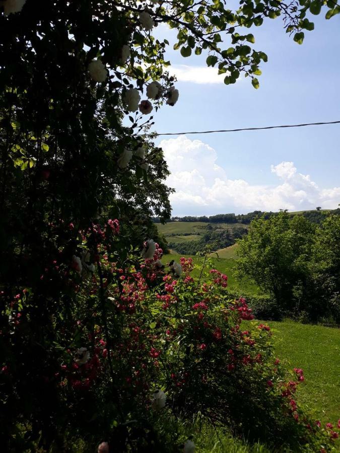 B&B I Canonici Urbino Exteriör bild